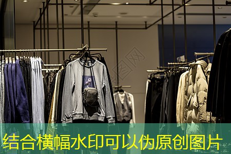 徐汇区智能鱼池绿化工程